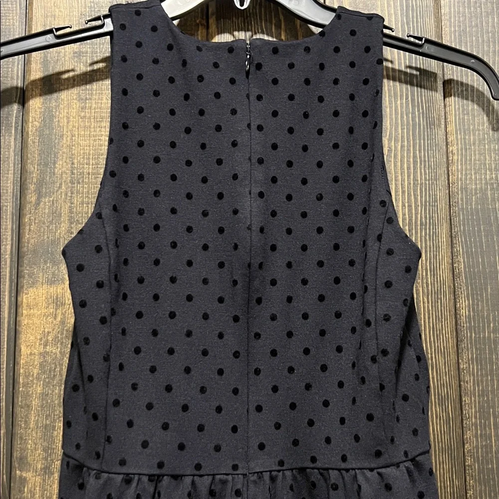 J. Crew Black Velvet Polka Dot Dress‎ S Ponte Preppy Dark Coquette Whimsigoth